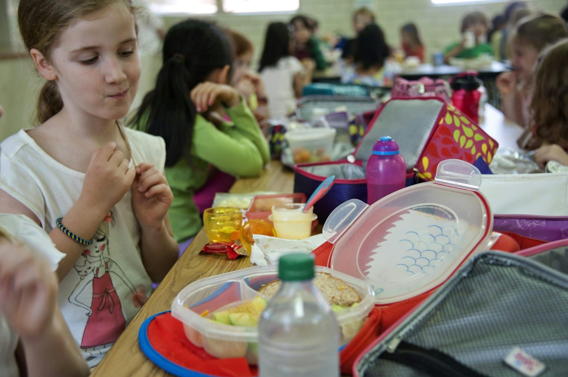 New York’s Public Schools Set to Offer Free Breakfast and Lunch for All Students