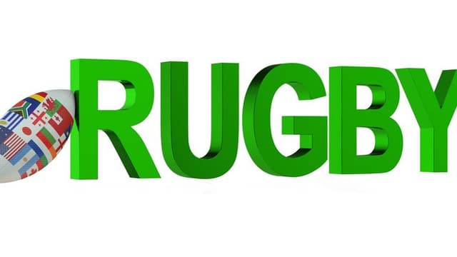 2023 Rugby World Cup: South Africa Defeats New Zealand in a Thrilling Final