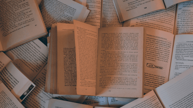 A collection of open books scattered on a surface, displaying pages with text in a warm, soft lighting.