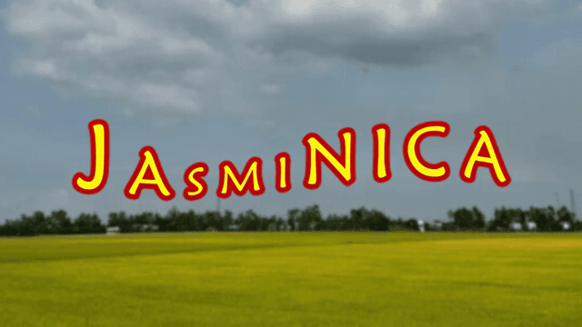 Image showcasing Jasminica, a Ghana-based rice supplier focused on providing flexible payment terms and reliable food access to organizations across West Africa, with a lush rice field backdrop symbolizing the company's mission to improve food security.