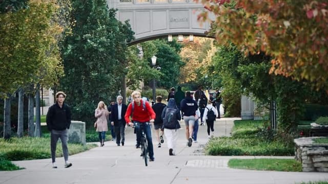 International Students in U.S. Colleges: Projected Enrollment Decline Raises Economic Concerns